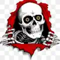 https://justpassinthru.de/en/product-category/brands/powell-peralta-en/