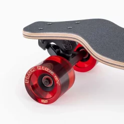 Landyachtz Evo 36 Bear Longboard Komplett 19 Landyachtz Evo 36 Bear Longboard Komplett - Tail