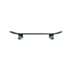 Pantheon Banantheon Longboard 37" 9 Pantheon Banantheon Longboard 37" - RKP seitlich